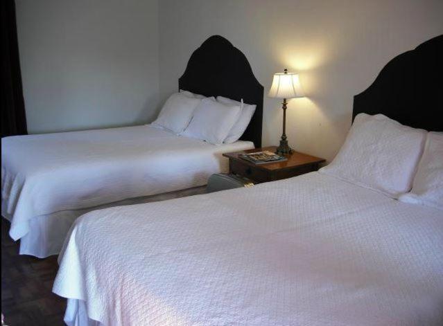 La Siesta Motel Тусон Номер фото